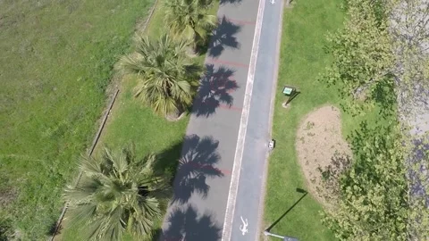 Walking path and palm trees Stock Footage 188537569