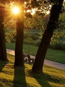 Walking Path and Park Bench Bathed in Gold Sunlight Stock Photos
