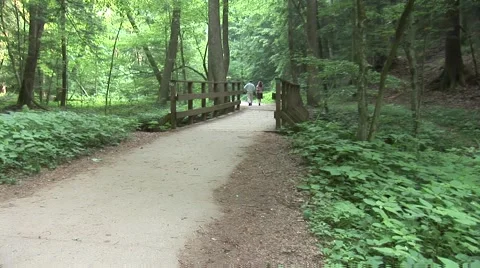 Walking Path Approaching Bridge Stock Footage 43222726