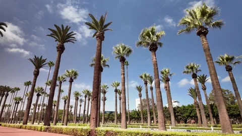 Walking Path at Arab League Park Casablanca Morocco September 10, 2025 Video stock 316130528
