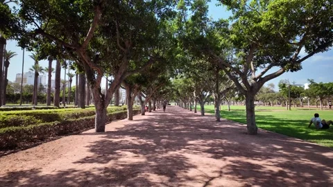 Walking Path at Arab League Park Casablanca Morocco September 10, 2025 Stock Footage 316130569