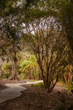 Walking path around tree park Stock Photos