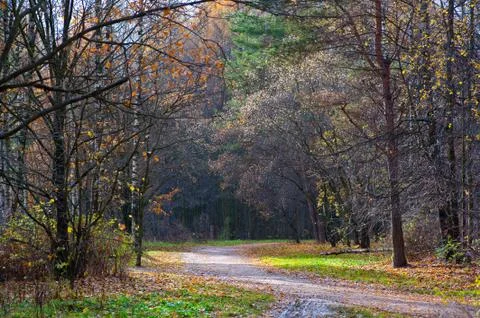 Walking path in autumn park Stock Photos