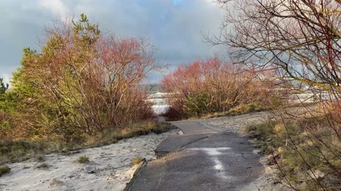 Walking path to Baltic sea on Curonian Spit in winter Stock Footage 167274045