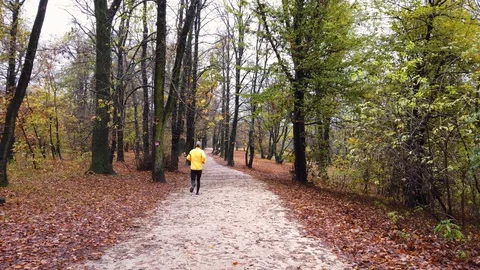 Walking on a path in beautiful autumn in the forest - Hungary, Hármashatár Stock Footage 129892140