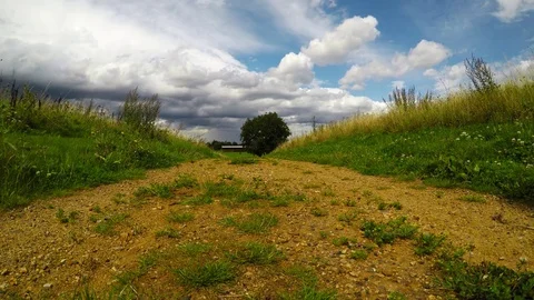 Walking path in a beautiful green park, a place of relaxation and active sport Stock Footage 78517343