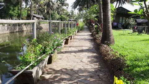 Walking Path Beside Canal Surrounded By Tropical Coconut Trees Stock Footage 347194472
