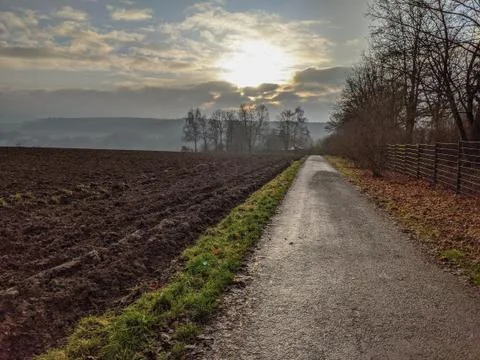 Walking path between plowed farmer's field and row trees, stretching to horizon Stock Photos