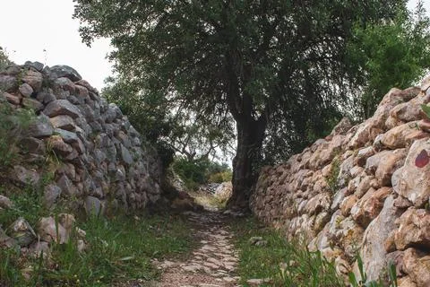 Walking path between stone walls in Vale Encantado, Guia, Albufeira, Portugal Foto stock