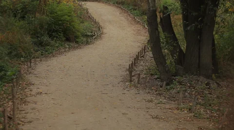 Walking path between trees in the park. Stock Footage 38859691