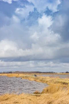 Walking path between two lakes at the Roegwold nature area in Groningen Foto stock