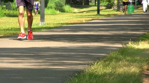 Walking path Boston; 4 Stock Footage 12364826