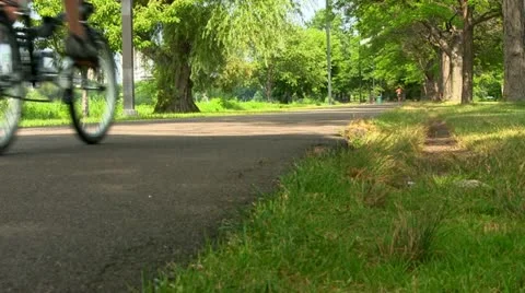 Walking path Boston; 7 Stock Footage 12364918