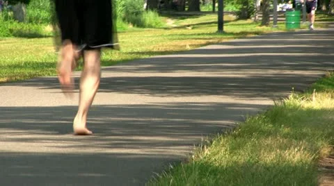 Walking path Boston Stock Footage 12364617