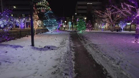 Walking in the path of Christmas Garden of lights around Christmas trees Stock Footage 221883349