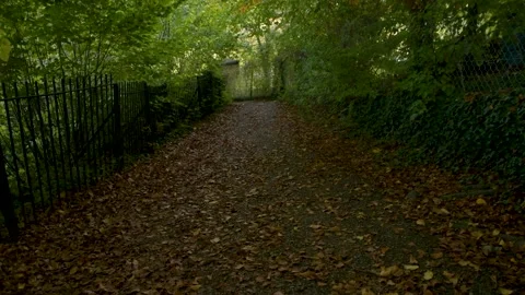 Walking in path covered of autumn leaves Stock Footage 219267893