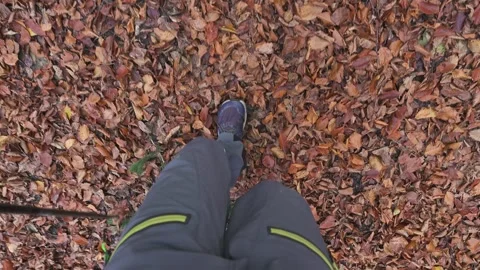 Walking on Path Covered with Autumn Leaves, Outdoor Nature Hiking Background Stock Footage 320995068