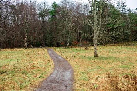 Walking path crossing a field into a forest. Stock Photos