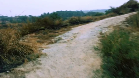 Walking on a path day time shaky trail 库存影片 100662196