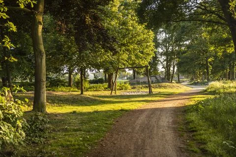 A walking path in Eersel, The Netherlands surrounded by trees and greenery 스톡 사진