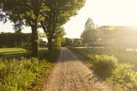 A walking path in Eersel, The Netherlands surrounded by trees and greenery Fotos Stock