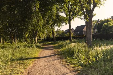 A walking path in Eersel, The Netherlands surrounded by trees and greenery. 스톡 사진
