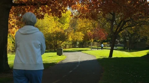 Walking path fall Stock Footage 1038642