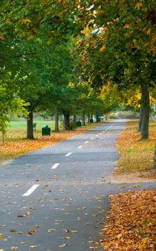 Walking Path in the Fall Stock-Fotos