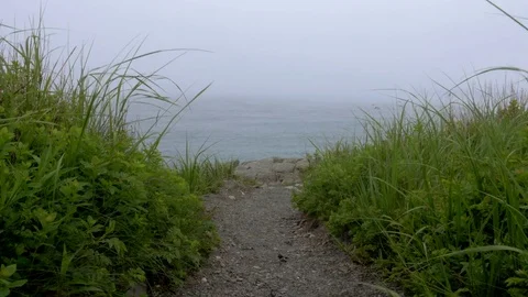 Walking Path to a Foggy Ocean View. Stock-Footage 77236427