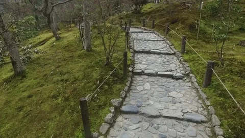 Walking Path 스톡 동영상 82948587