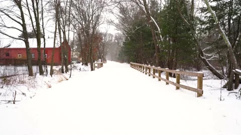 Walking Path Video stock 147779764