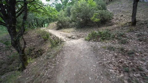 Walking on a path in a forest Stock Footage 124060140