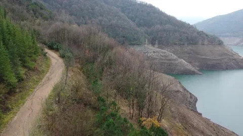 Walking path in a forest by the lake aerial view. dam and forest footage. Stock Footage 231449780