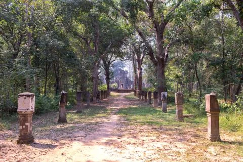A walking path in the forest stretching through Cambodian jungle Stock Photos