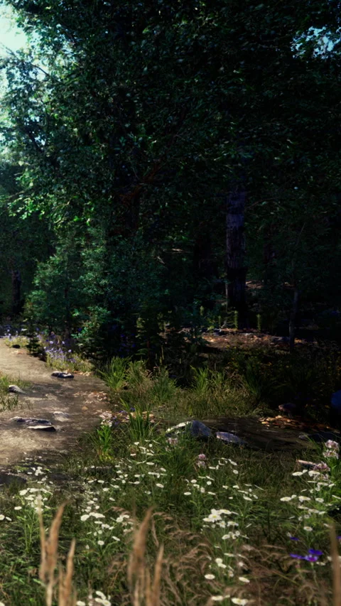 Walking path in a forest with trees and flowers during daylight hours Stock Footage 338421019