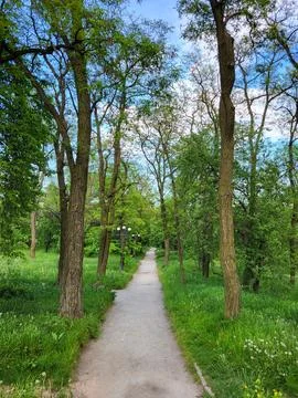 Walking path in a forested park Foto stock