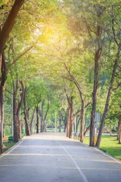 Walking path in garden Stock Photos