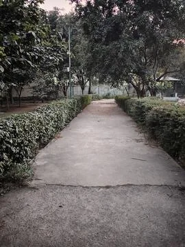 Walking Path of a Garden with Plants on both sides Stock Photos