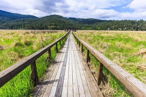 Walking path into a grassy field. Stock Photos