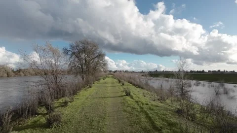 Walking path on a green Sacramento River levee Vídeo Stock 338409775