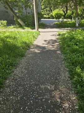 Walking path in green spring park. Stock Photos