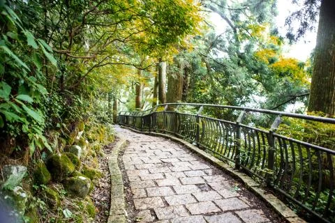 Walking Path in Hakone, Japan Stock Photos