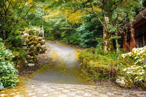 Walking Path in Hakone, Japan Stock Photos