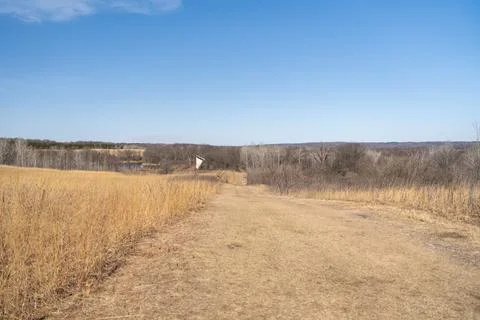 A walking path to the horizon in a local state park surrounded by winter trees. Stock Photos