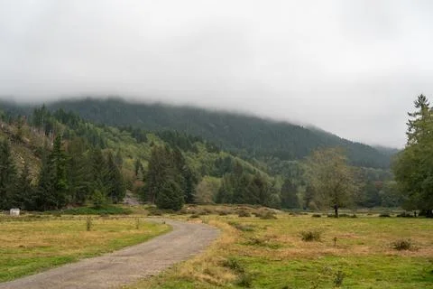 A walking path to the horizon in a local state park surrounded by lush greenery. Stock Photos