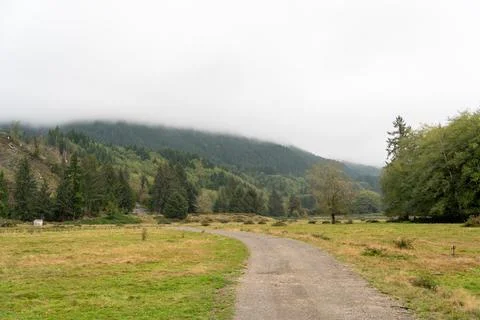 A walking path to the horizon in a local state park surrounded by lush greenery. Stock Photos