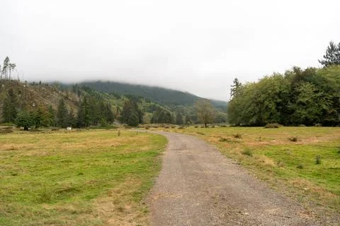 A walking path to the horizon in a local state park surrounded by lush greenery. Stock Photos