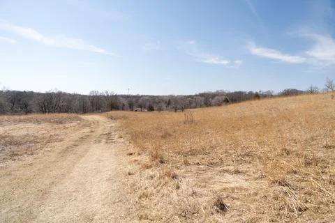 A walking path to the horizon in a local state park surrounded by winter trees. Stock Photos
