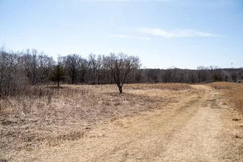 A walking path to the horizon in a local state park surrounded by winter trees. Stock Photos