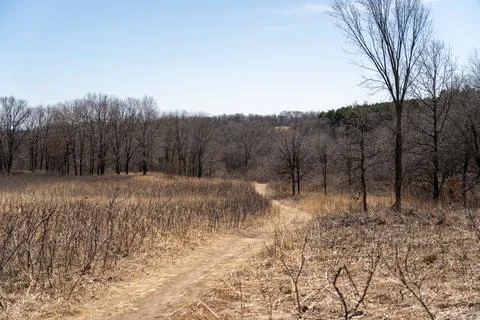 A walking path to the horizon in a local state park surrounded by winter trees. Stock Photos